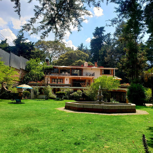 Curso Lasagna Bolognese Originale - CDMX sábado 15 de marzo