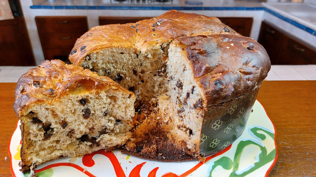 Panettone_Paneton